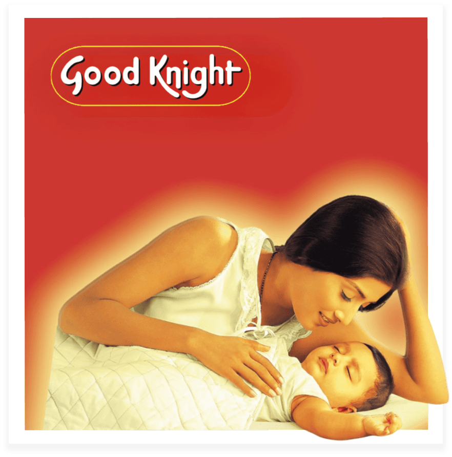 Mosquitoes, the world’s deadliest animals